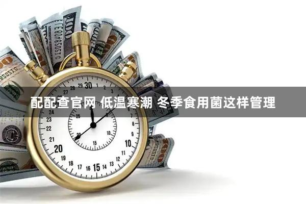 配配查官网 低温寒潮 冬季食用菌这样管理